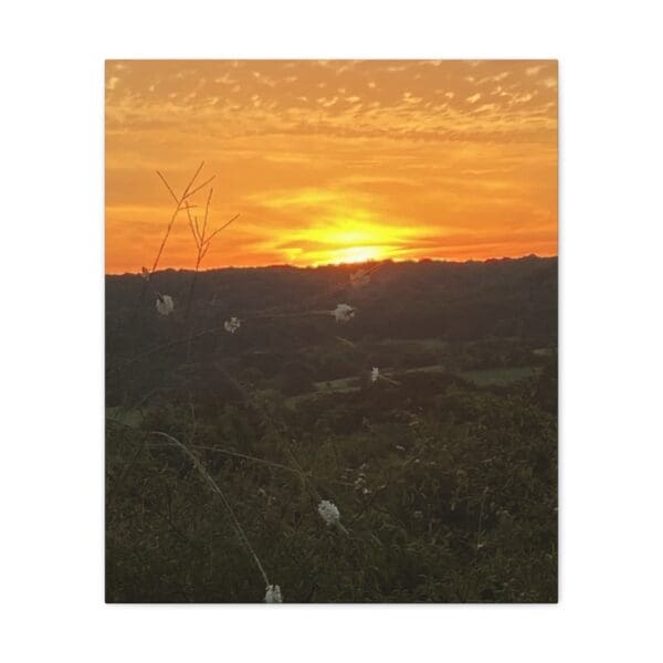 A sunset with the sun setting over a field.
